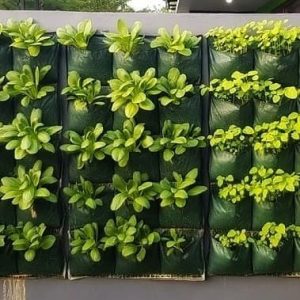 Kantong Media Pertanian