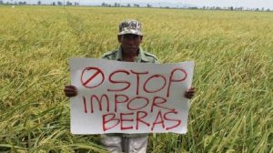 Tolak Impor Beras