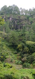 Spot Rock Climbing Di Siboro Hill Bagi Profesional