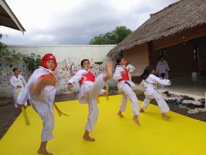 TC Di Dojang Vlayesha